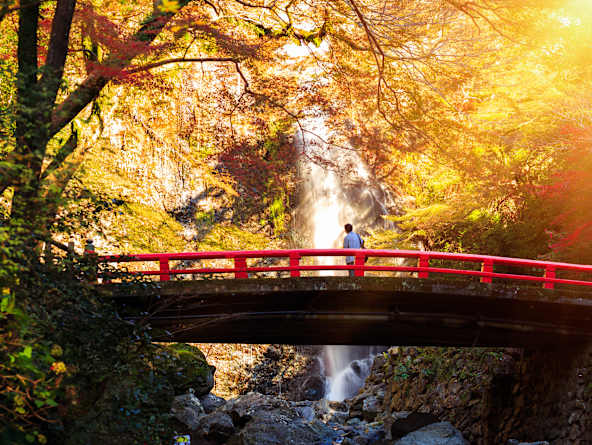 Star Collector: Alaskan Frontiers & Japan’s Hidden Mysteries